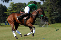 Hurlingham Open - 26/10/13
