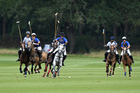 Flemish Farm Trophy - 02/09/2023.
