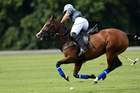 Autumn Nations Cup - 08/09/2023.