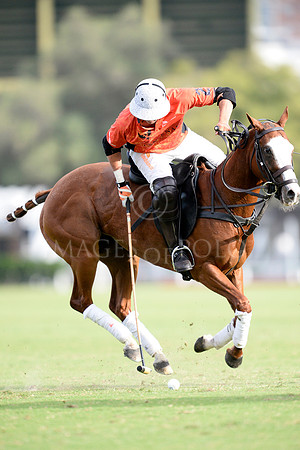 01_12_17 309