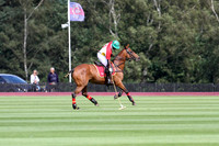 Duke of Wellington - 16/08/2014