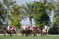 Cartier International Dubai Polo Challenge - 15/02/2011.
