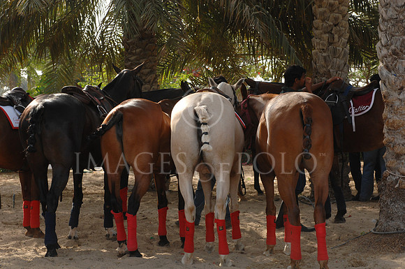 Dubai 119