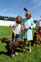 Dog Show at Guards Polo Club - 03/06/2018.