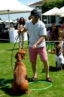 Dog Show at Guards Polo Club - 03/06/2018.