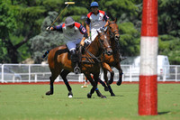Argentine Gold Cup 29/11/2016