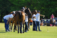 Hurlingham Open - 16/10/2018
