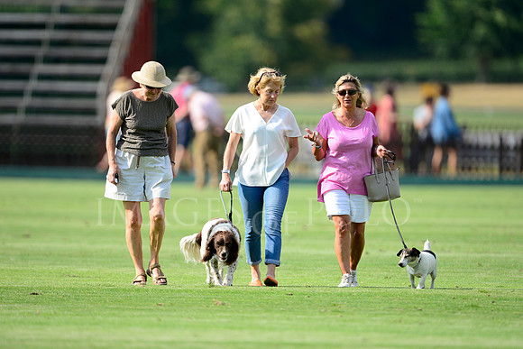11_07_18 791