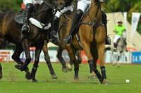 Argentine Open - 26/11/2018