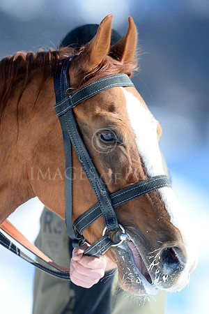 25_01_19 226