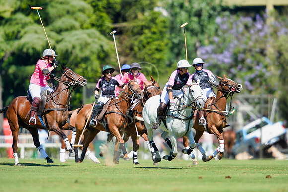 10_12_18  249