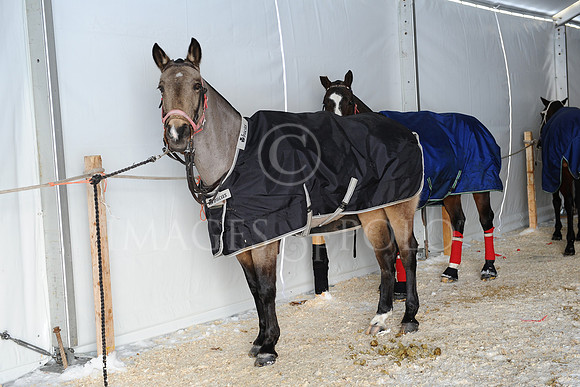 27_01_19 117