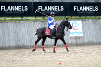 The Playnation Arena Polo Test Match and High Goal Challenge - 02/03/2019.