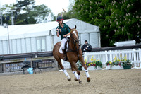 Royal Windsor Horse Show - Polo Pony Class - 09/05/2019.