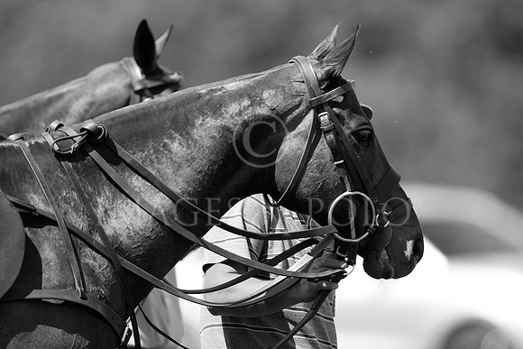 21_05_19 201