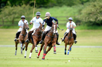 Committee Cup - 24/05/2019.