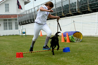 Dog Show at Guards Polo Club - 02/06/2019.