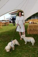 Dog Show at Guards Polo Club - 02/06/2019.