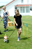 Dog Show at Guards Polo Club - 02/06/2019.
