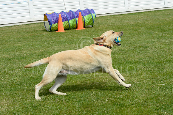 02_06_19 0276