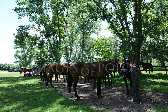 02_12_13 014