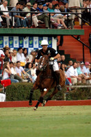 Argentine Open - 08/12/2007.