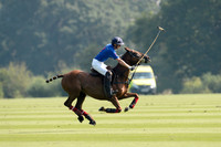 Flemish Farm Trophy - 25/08/2019.