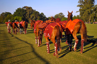 Hurlingham Open - 29/10/2016