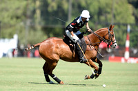 Argentine Gold Cup - 04/12/2016.