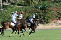 Cartier International Dubai Polo Challenge - 14/02/2015