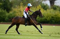 Poroto Cambiaso