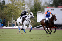 Flemish Farm Trophy - 26/09/2020