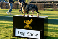 Dog Show at Cowdray Park Polo Club - 18/09/2022.