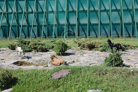 08_09_16 080