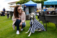 Dog Show at Guards Polo Club - 29/05/2022