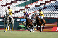 Argentine Gold Cup - 03/12/2016.