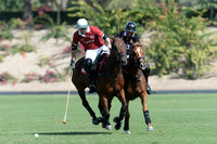 Cartier International Dubai Polo Challenge - 14/02/2015