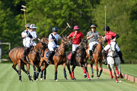 Polo 2024