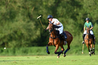 Chestnuts Trophy - 17/05/2024.