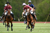 Committee Cup - 24/05/2024.