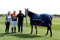 Images of Polo Best Playing Ponies 2022