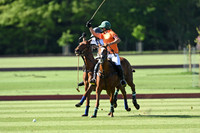 Committee Cup - 15/05/2024.