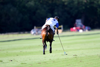Flemish Farm Trophy - 29/07/2014.