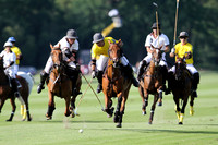 Flemish Farm Trophy - 18/07/2014.