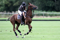 Fox and Hounds Social Cup - 29/08/2014