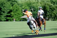 Ellerstina Gold Cup - 14/11/2014