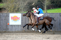 Arundel Equine Hospital Polo Cup 2014