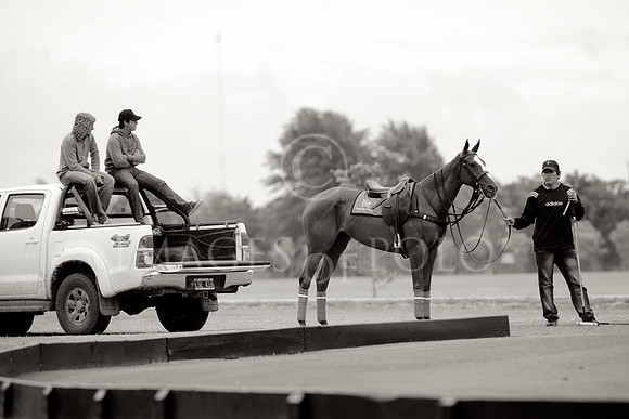 21_11_14_A 094