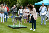 29_05_22 0258