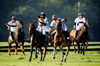 Flemish Farm Trophy - 25/08/2016.
